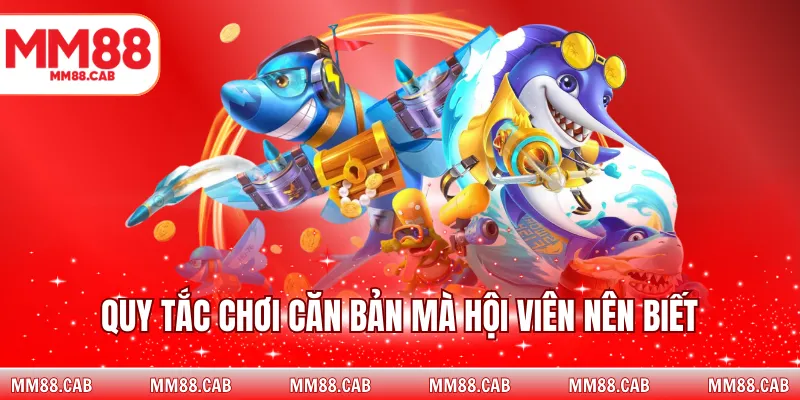 Quy tắc chơi căn bản mà hội viên nên biết